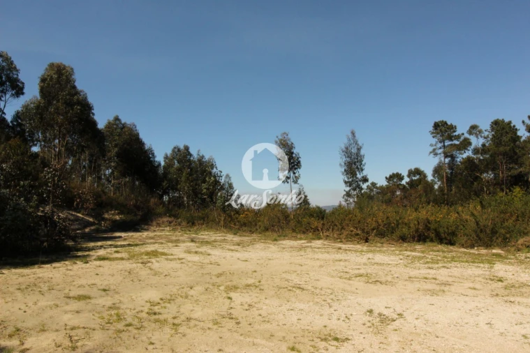 Terreno Agricola ou Rústico para Venda em Silvares (São Martinho) Foto 9