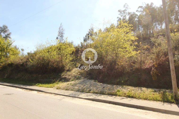 Terreno Agricola ou Rústico para Venda em Silvares (São Martinho) Foto 12