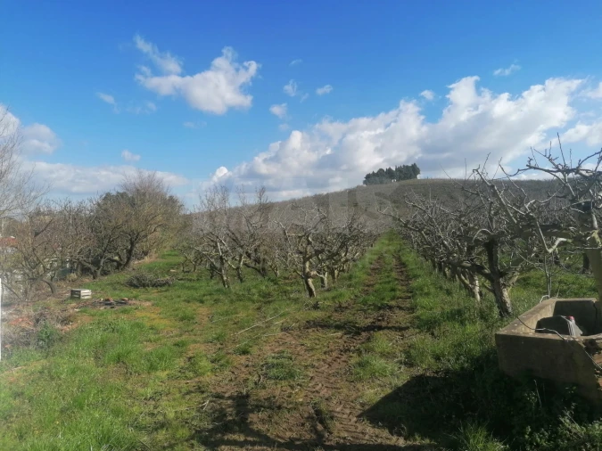 Quinta T2 para Venda em Aldeia Galega da Merceana e Aldeia Gavinha Foto 5