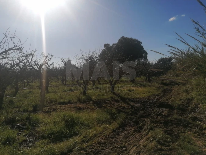 Quinta T2 para Venda em Aldeia Galega da Merceana e Aldeia Gavinha Foto 8