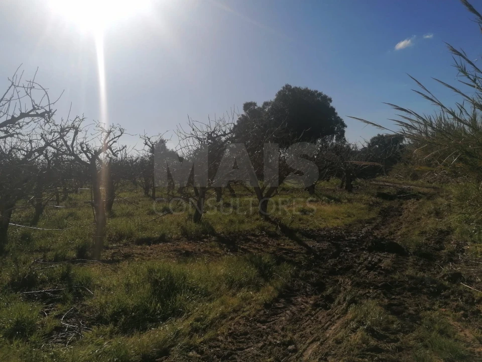 Quinta T2 para Venda em Aldeia Galega da Merceana e Aldeia Gavinha Foto 8