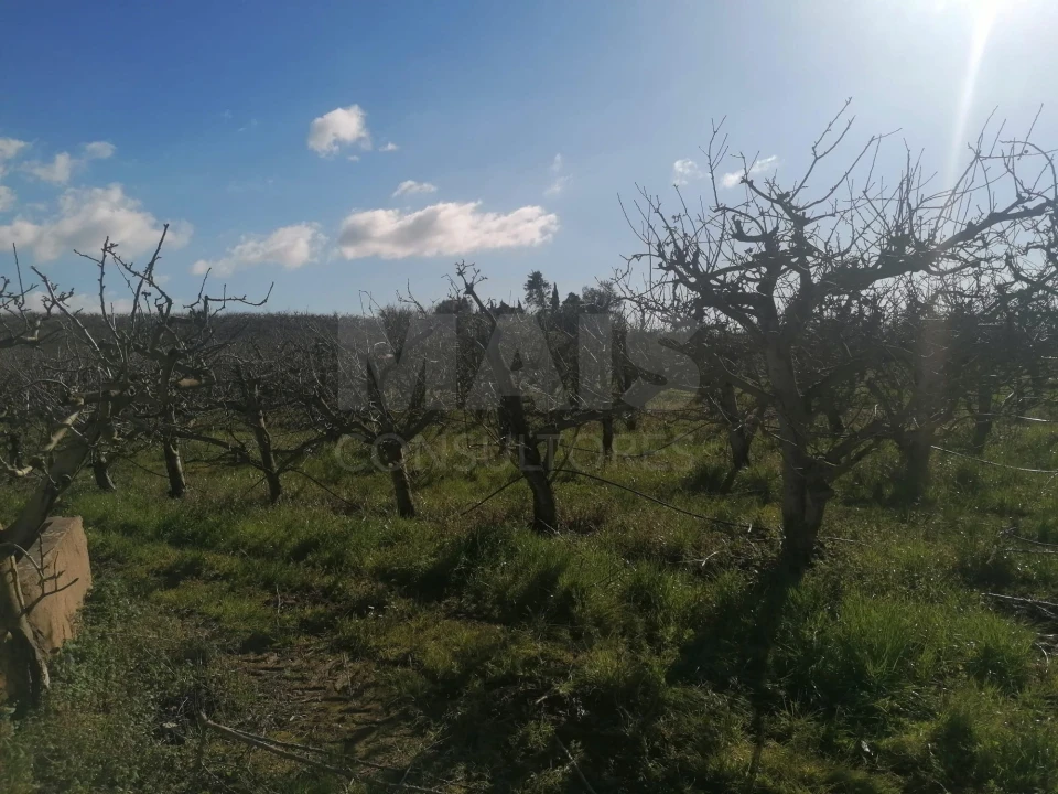 Quinta T2 para Venda em Aldeia Galega da Merceana e Aldeia Gavinha Foto 6