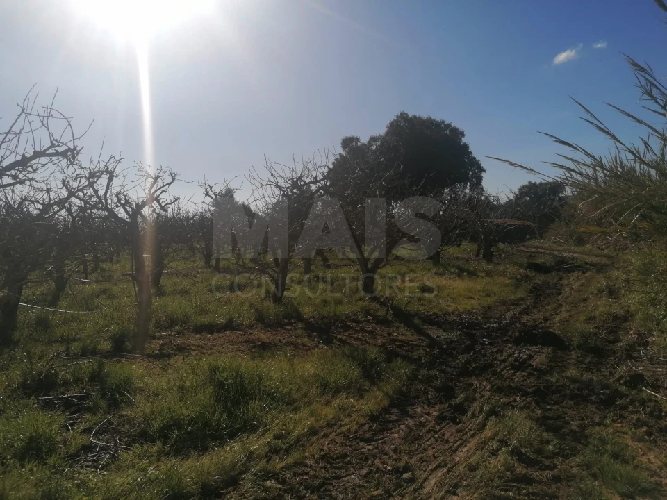 Quinta T2 para Venda em Aldeia Galega da Merceana e Aldeia Gavinha Foto 7