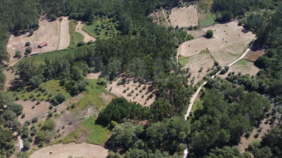 Terreno para Venda em Alvados e Alcaria Foto 2