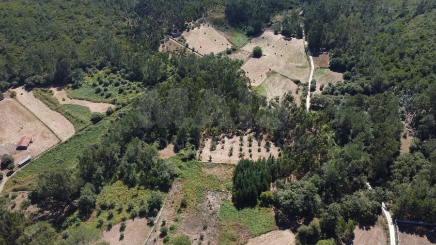 Terreno para Venda em Alvados e Alcaria Foto 3