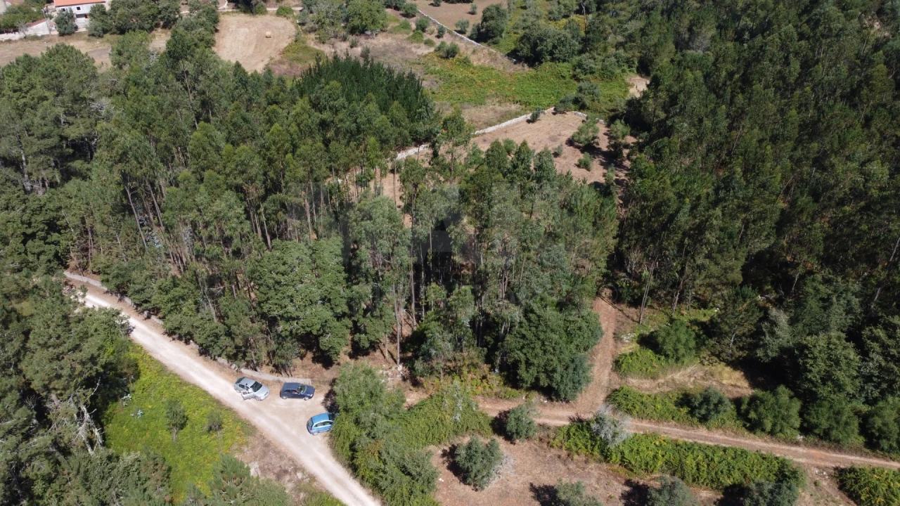 Terreno para Venda em Alvados e Alcaria Foto 10