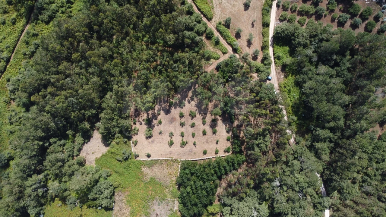 Terreno para Venda em Alvados e Alcaria Foto 5