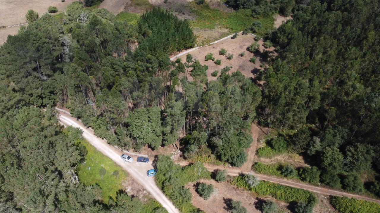 Terreno para Venda em Alvados e Alcaria Foto 9