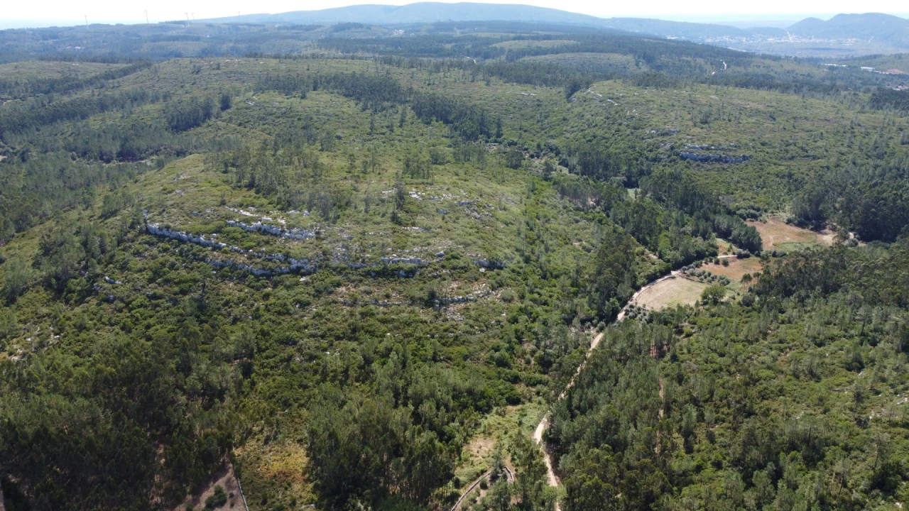 Terreno para Venda em Alvados e Alcaria Foto 7