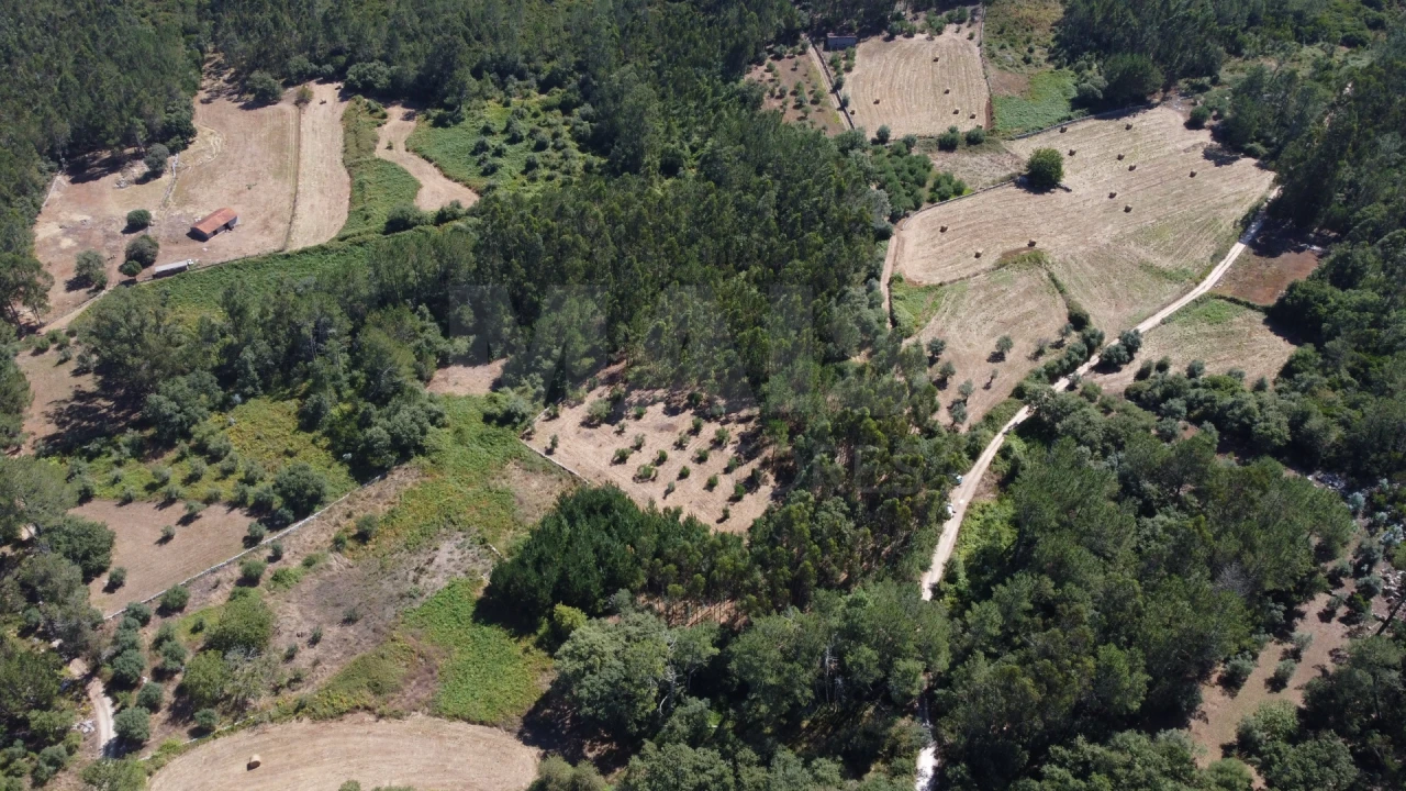 Terreno para Venda em Alvados e Alcaria Foto 2
