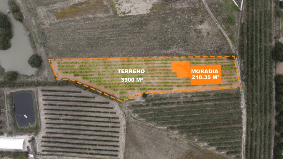 Terreno para Venda em Moita dos Ferreiros