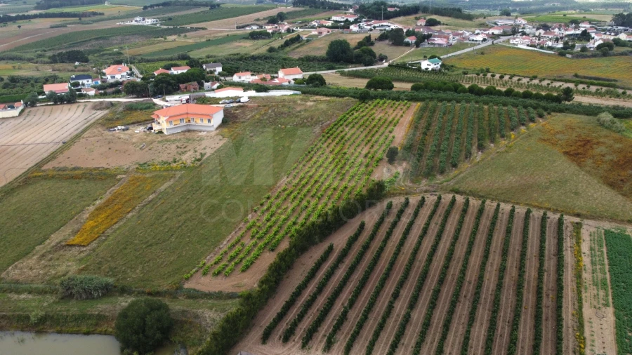 Terreno para Venda em Moita dos Ferreiros Foto 10