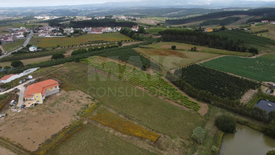 Terreno para Venda em Moita dos Ferreiros Foto 11