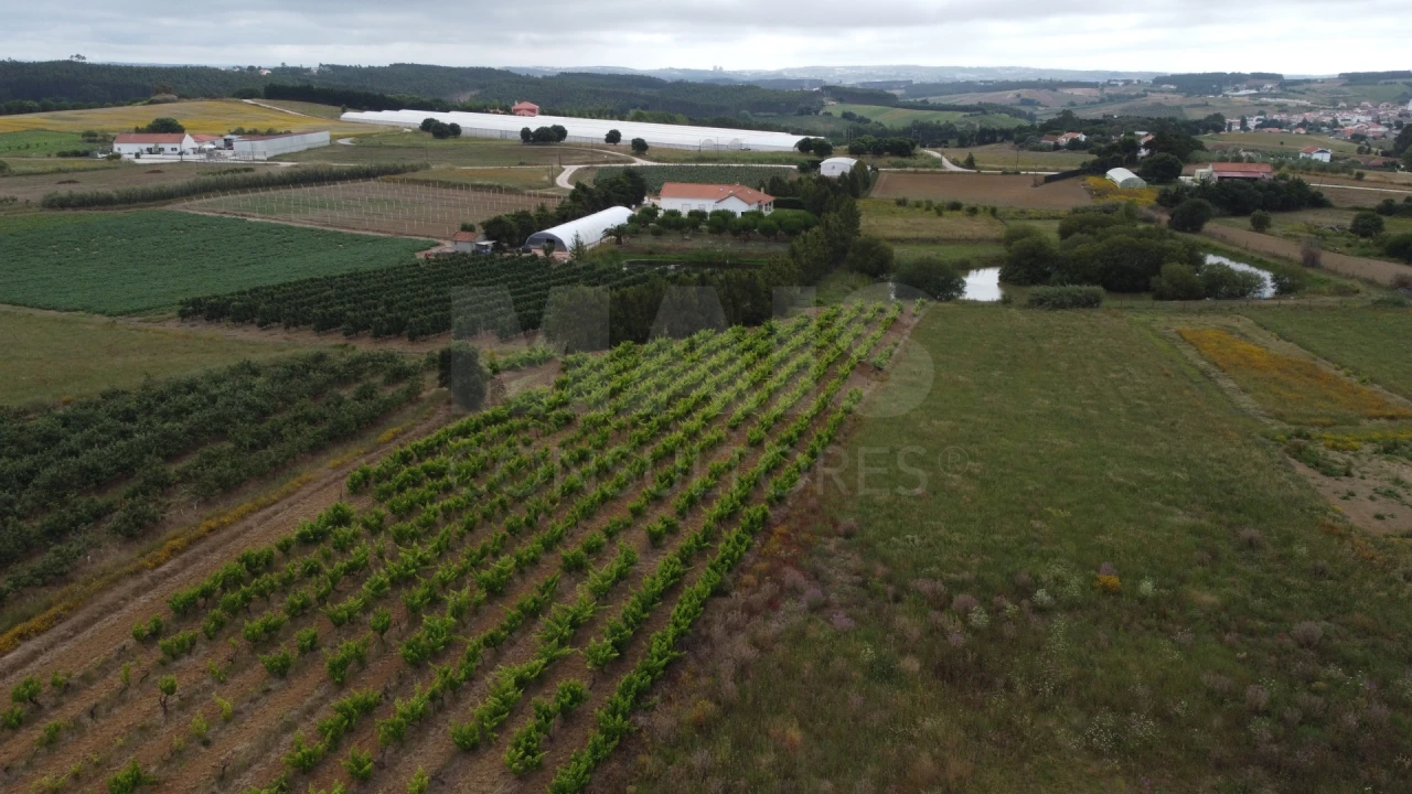 Terreno para Venda em Moita dos Ferreiros Foto 9