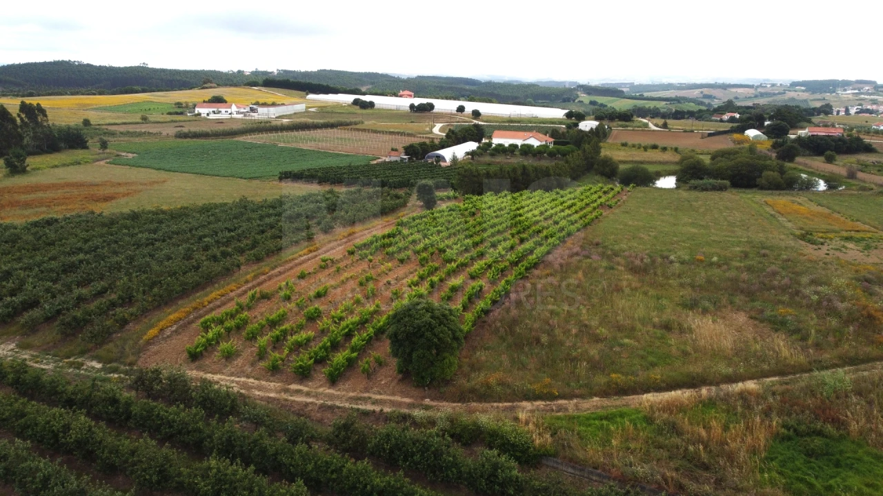 Terreno para Venda em Moita dos Ferreiros Foto 7