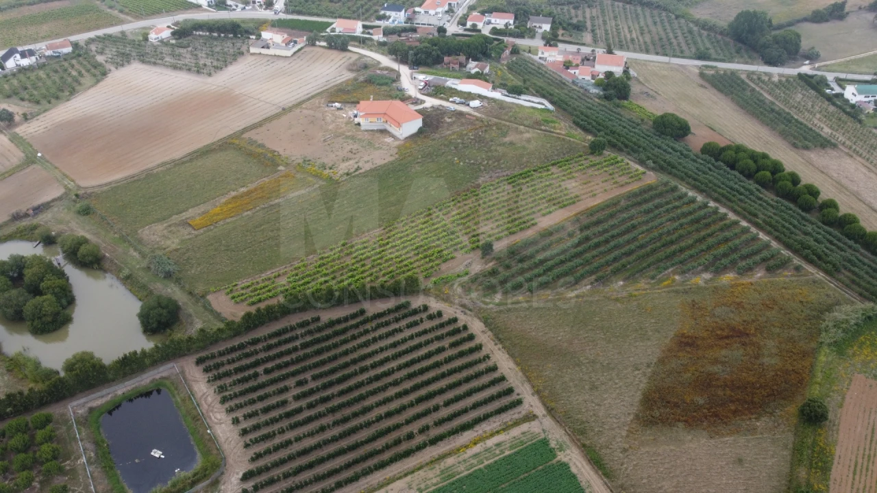 Terreno para Venda em Moita dos Ferreiros Foto 12