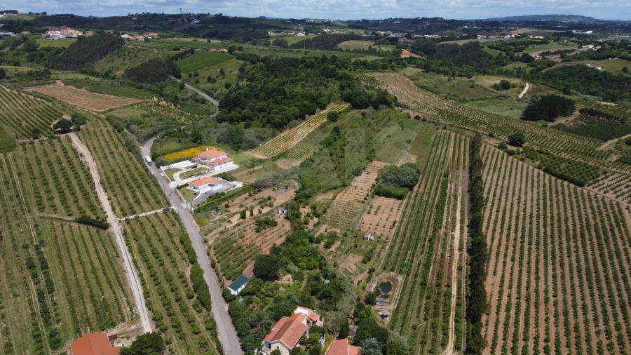Terreno para Venda em Carvalhal Foto 6