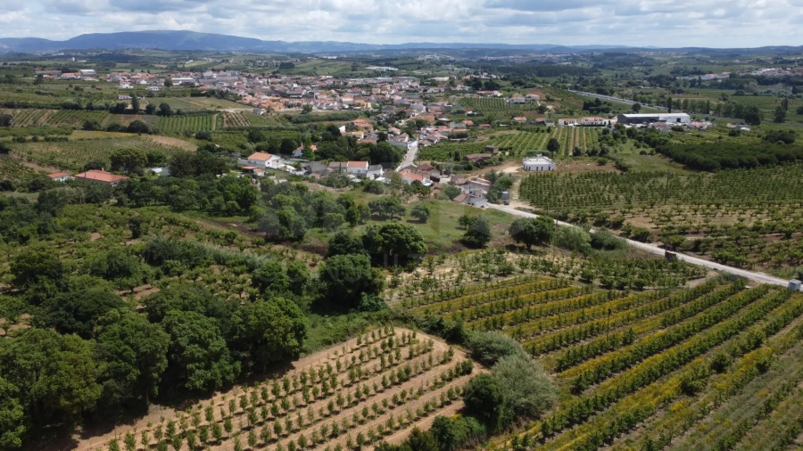 Terreno para Venda em Roliça Foto 4