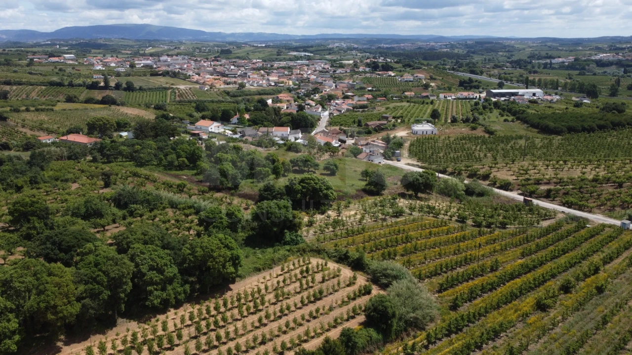 Terreno para Venda em Roliça Foto 4