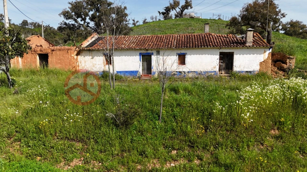 Terreno para Venda em São Salvador e Santa Maria Foto 3