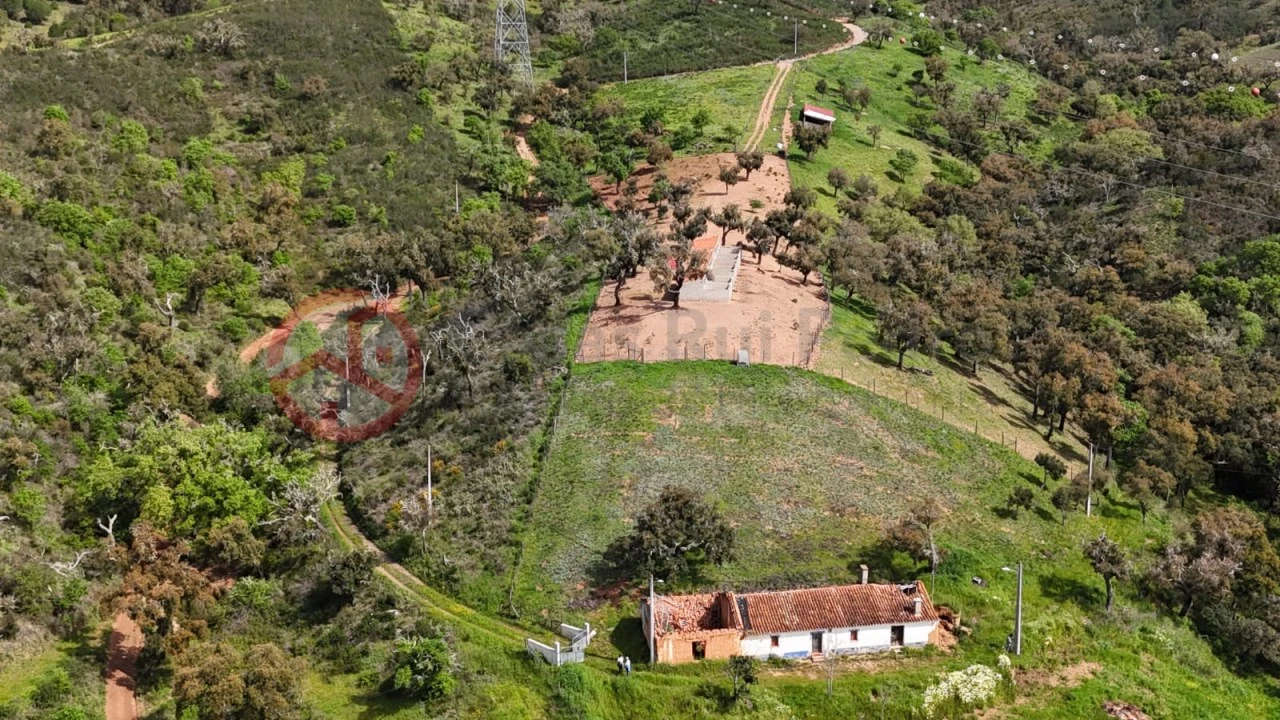 Terreno para Venda em São Salvador e Santa Maria Foto 5
