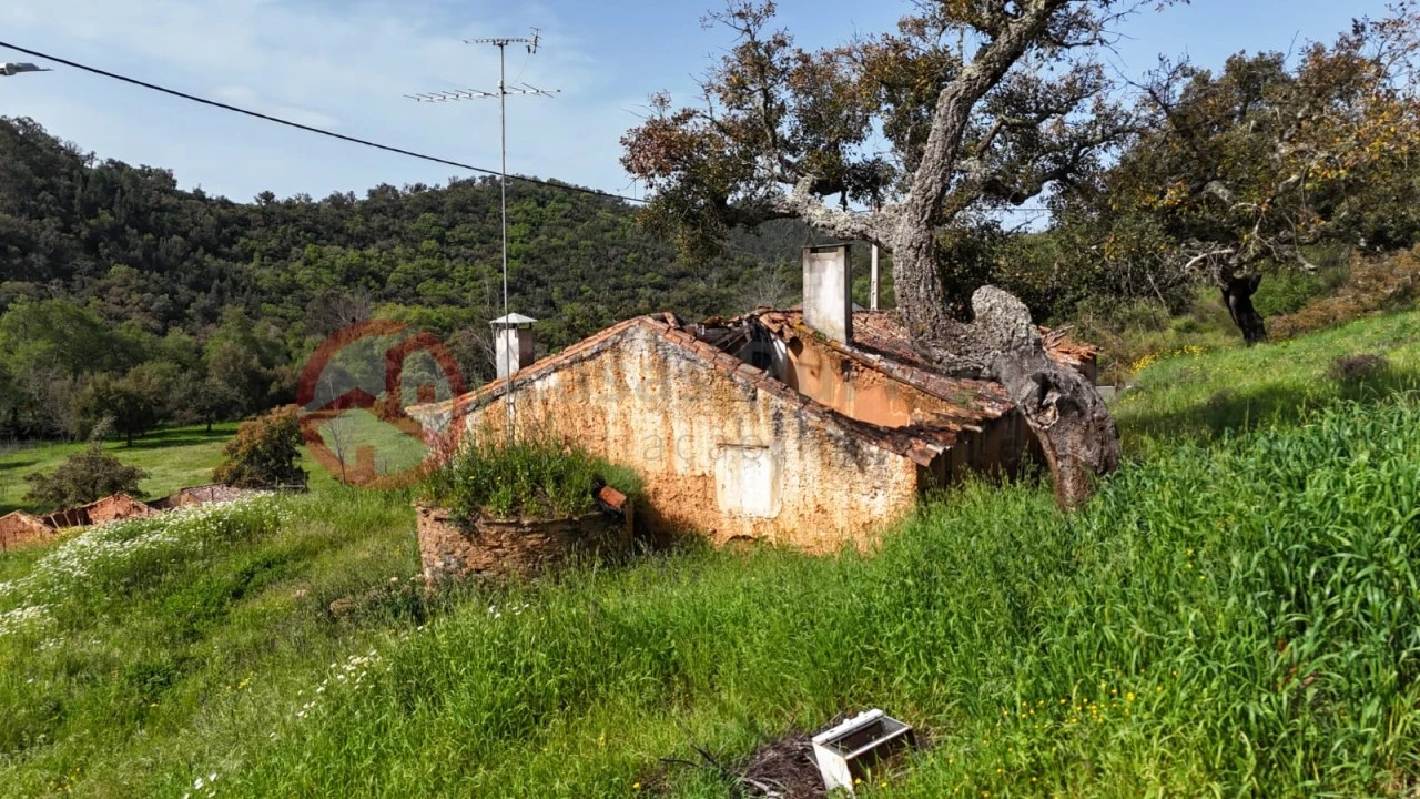 Terreno para Venda em São Salvador e Santa Maria Foto 8