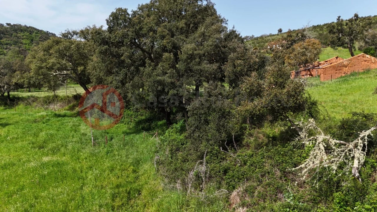 Terreno para Venda em São Salvador e Santa Maria Foto 12