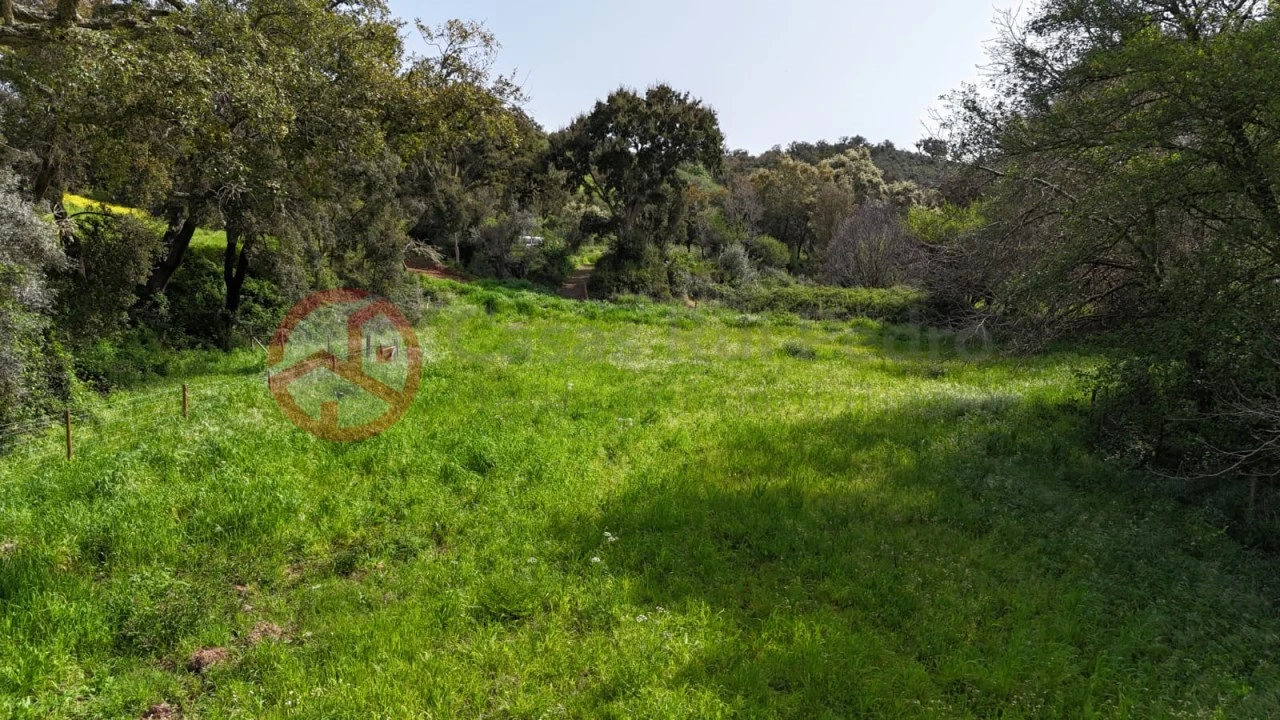 Terreno para Venda em São Salvador e Santa Maria Foto 13