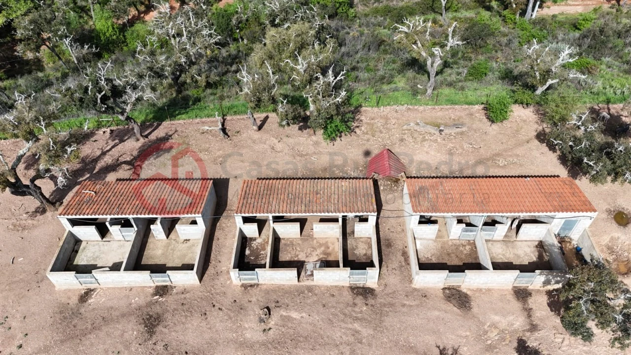 Terreno para Venda em São Salvador e Santa Maria Foto 18