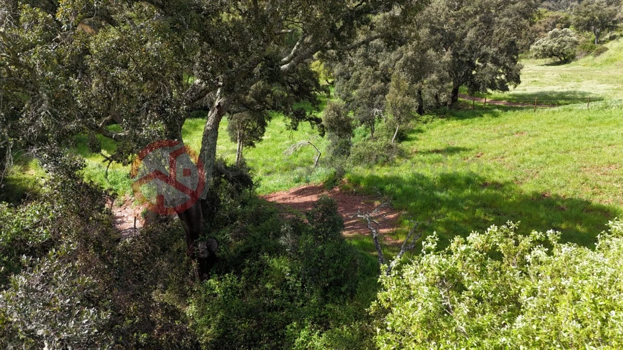 Terreno para Venda em São Salvador e Santa Maria Foto 20