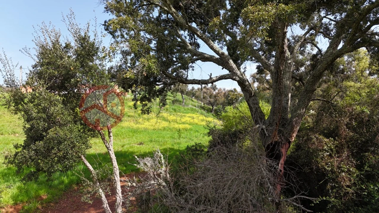 Terreno para Venda em São Salvador e Santa Maria Foto 23