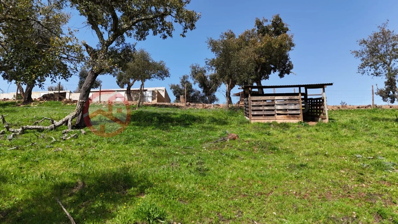 Terreno para Venda em São Salvador e Santa Maria Foto 24