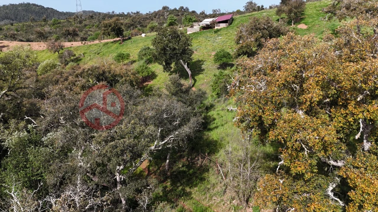 Terreno para Venda em São Salvador e Santa Maria Foto 26