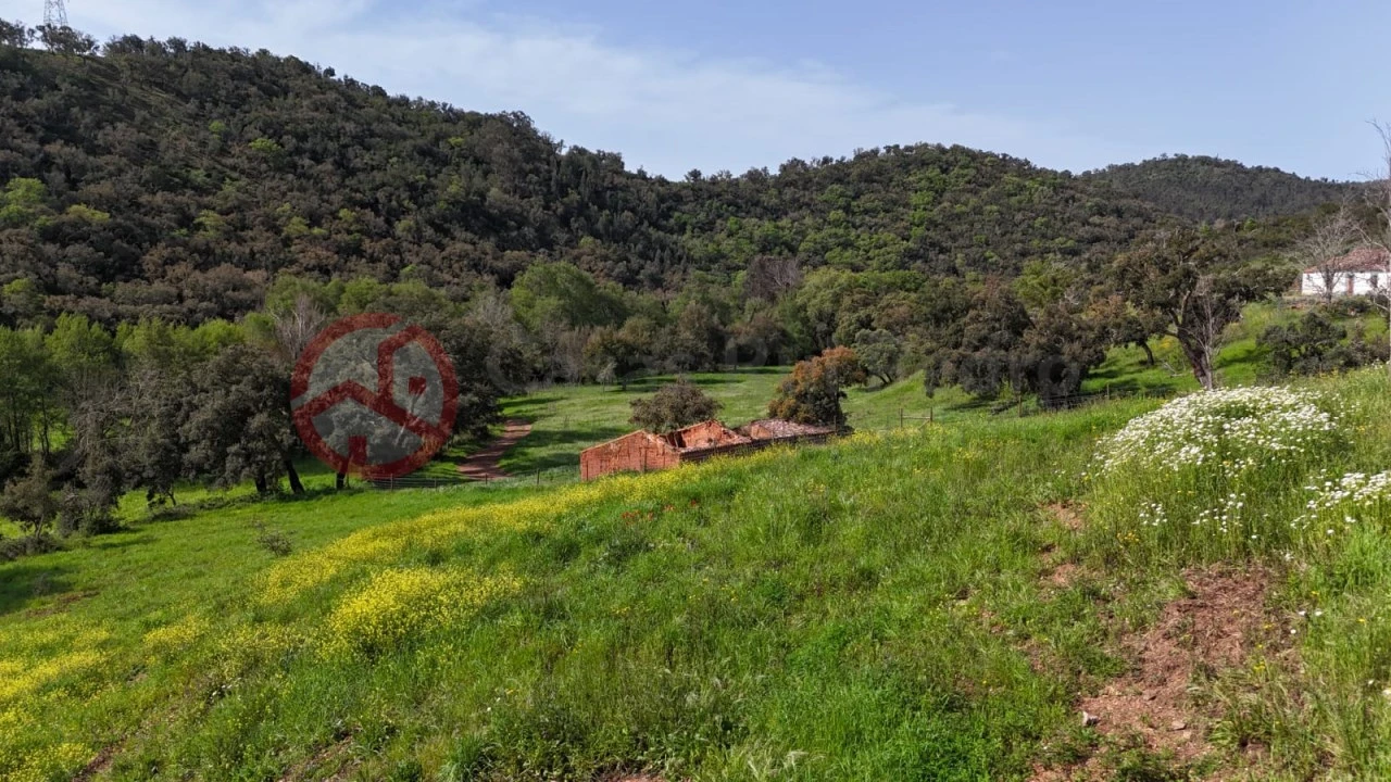 Terreno para Venda em São Salvador e Santa Maria Foto 27