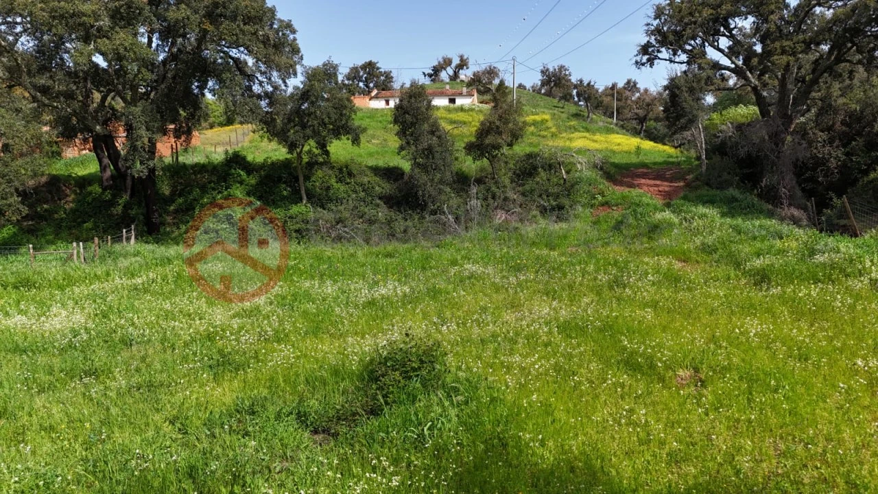 Terreno para Venda em São Salvador e Santa Maria Foto 28