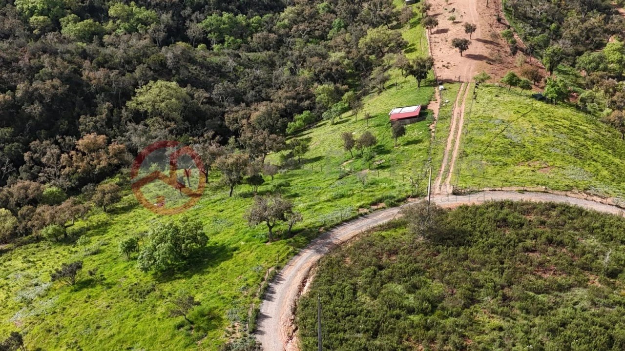 Terreno para Venda em São Salvador e Santa Maria Foto 30