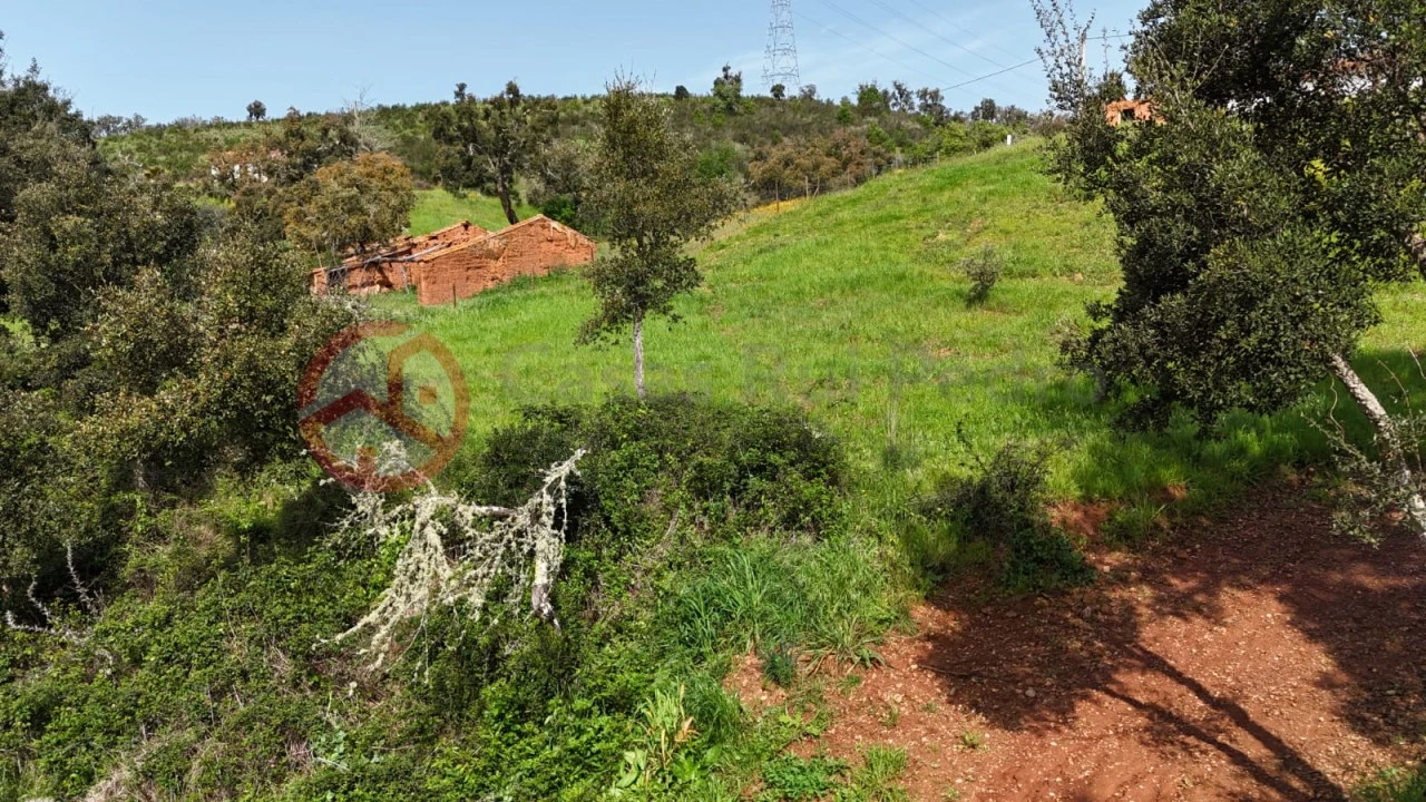 Terreno para Venda em São Salvador e Santa Maria Foto 38