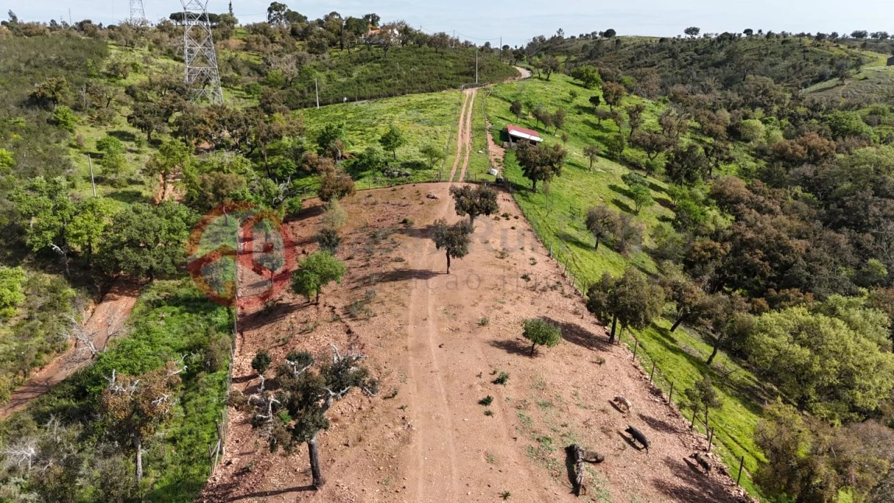 Terreno para Venda em São Salvador e Santa Maria Foto 40