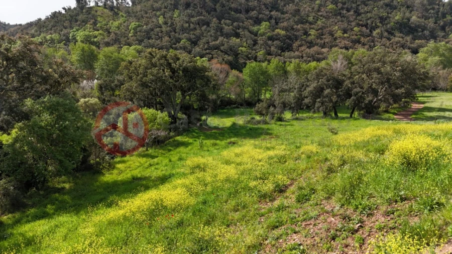 Terreno para Venda em São Salvador e Santa Maria Foto 11
