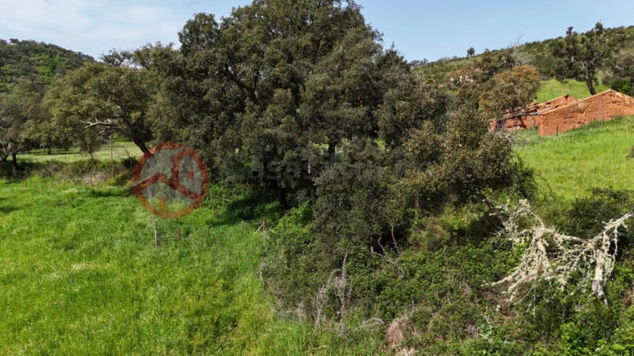 Terreno para Venda em São Salvador e Santa Maria Foto 12