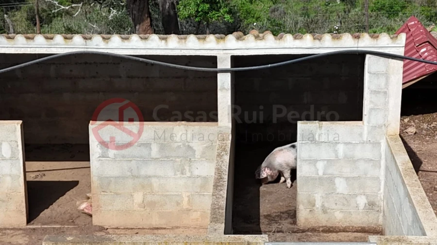 Terreno para Venda em São Salvador e Santa Maria Foto 16