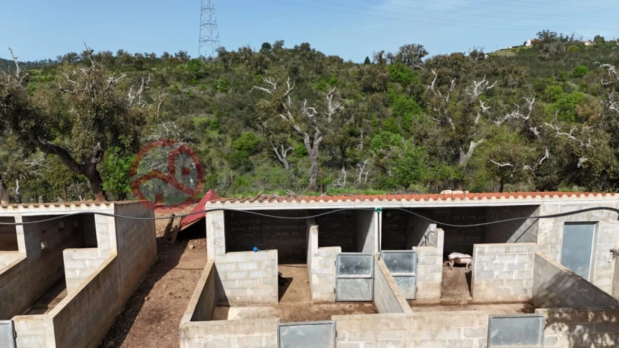 Terreno para Venda em São Salvador e Santa Maria Foto 17