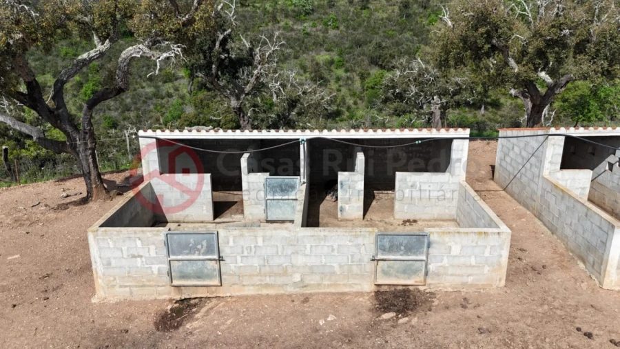 Terreno para Venda em São Salvador e Santa Maria Foto 19