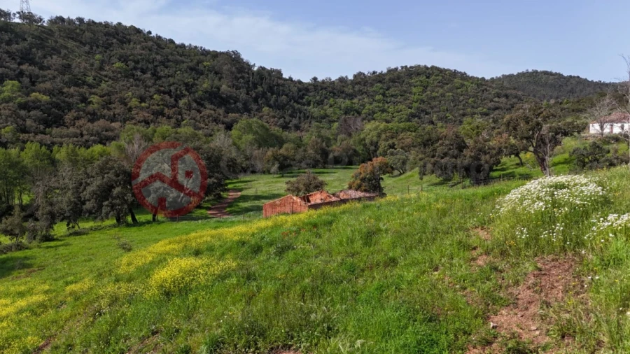 Terreno para Venda em São Salvador e Santa Maria Foto 27