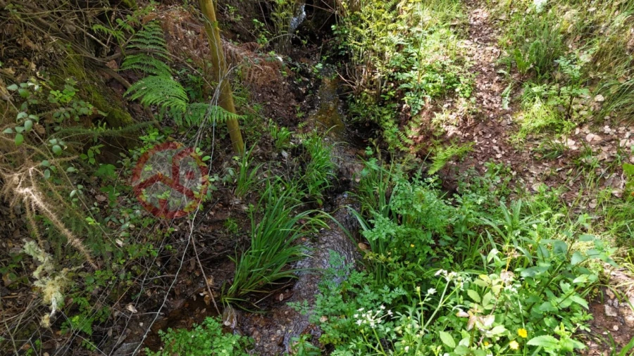 Terreno para Venda em São Salvador e Santa Maria Foto 32
