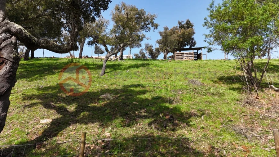 Terreno para Venda em São Salvador e Santa Maria Foto 36