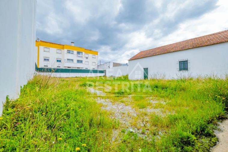 Terreno para Venda em Pegões Foto 10