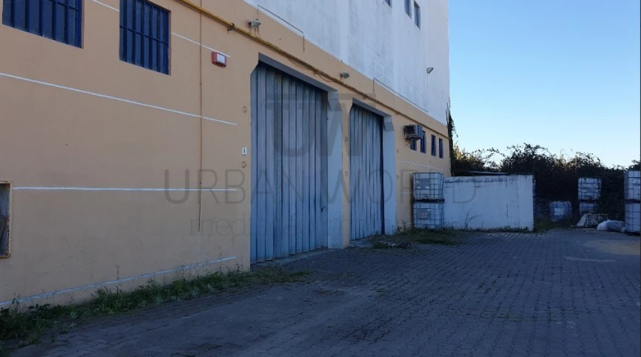 Armazém para Venda em Santa Maria e São Miguel, São Martinho, São Pedro Penaferrim Foto 4