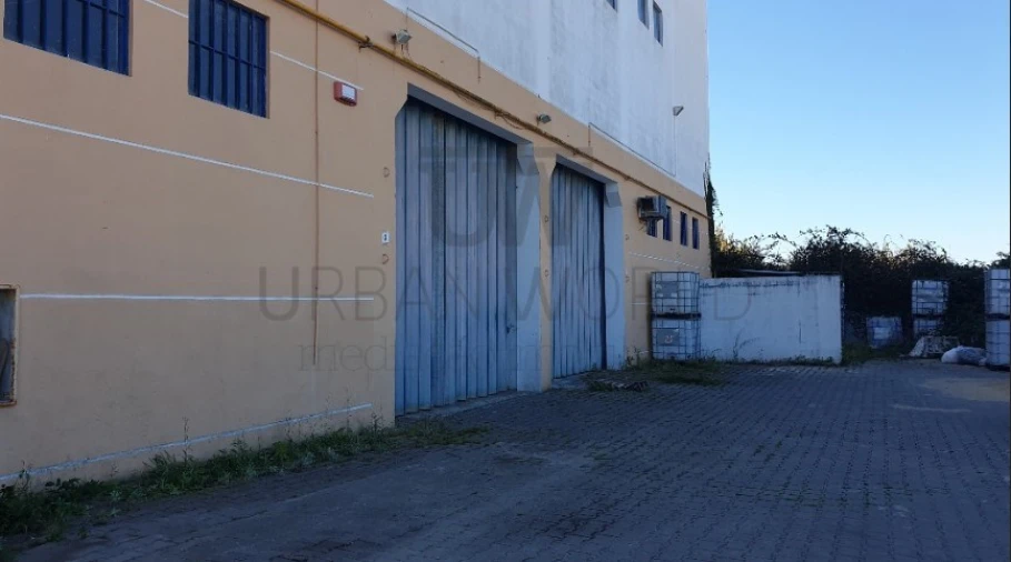 Armazém para Venda em Santa Maria e São Miguel, São Martinho, São Pedro Penaferrim Foto 4