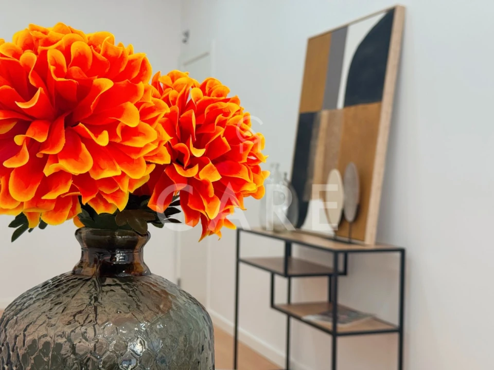 Apartamento T3 para Venda em São Vicente Foto 23